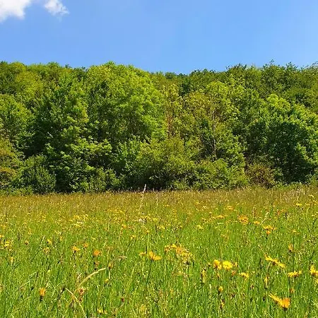 Sonnenbuehl & Garden An Den Thermen '35c' Apartmán